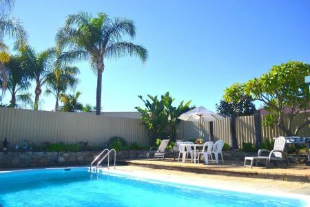 Palms - 8