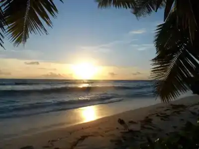 Anse Kerlan Beach Chalets - 4