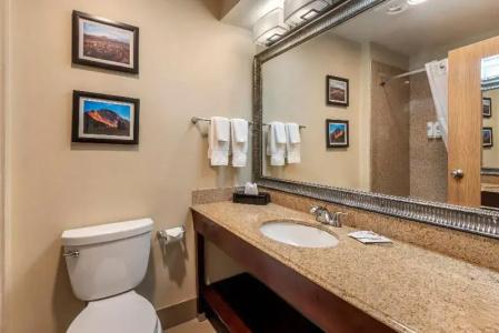 Comfort Inn & Suites - 49