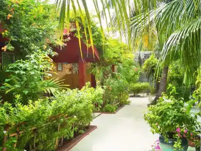 Beach Villa Ukulhas - 21