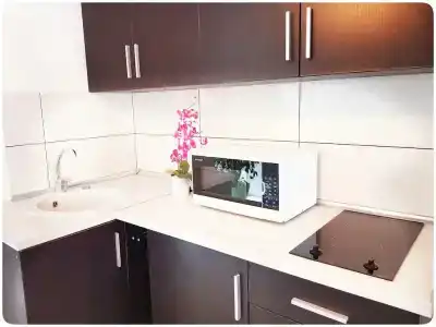 Vivulskio Apart-Hotel - 25