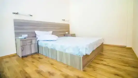 Боржоми Аиси - 5