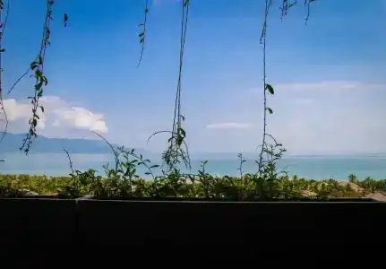 Fansipan Da Nang - 27