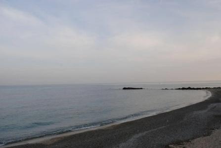Damanse - 18