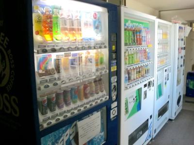 Kochi Green Harimayabashi - 10