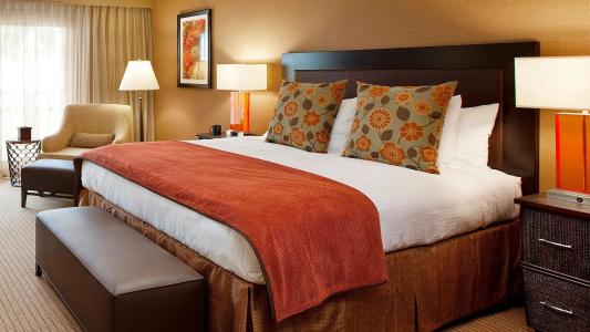 Jamaica Bay Inn Marina Del Rey Tapestry Collection by Hilton - 3
