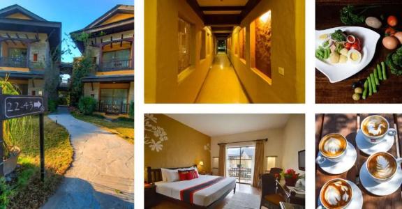Temple Tree & Spa - 73