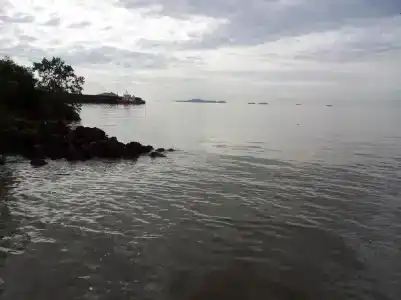 Harbour Inn - 8