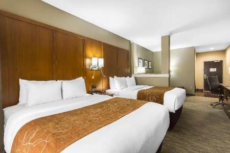 Comfort Suites - University - 48