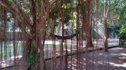 My Village - 41