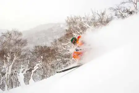 Asahidake Onsen Bear Monte - 30