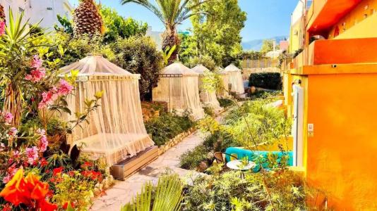 Orpheas Resort (Adults Only) - 91