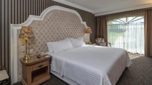 Holiday Inn Queretaro Centro Historico, An Ihg - 200