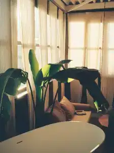 Mona. - 154