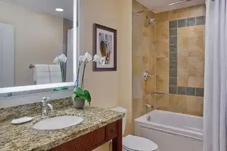 Sheraton Vistana Villages Resort Villas, I-Drive Orlando - 52