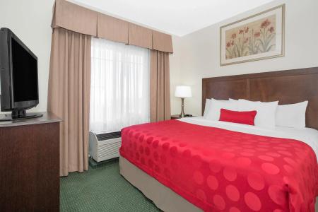 Ramada by Wyndham Denver International Airport - 4