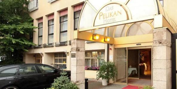 Pelikan - 81