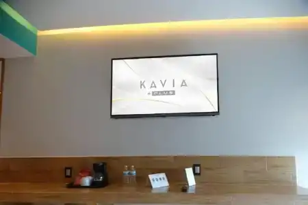 Kavia Plus - 1