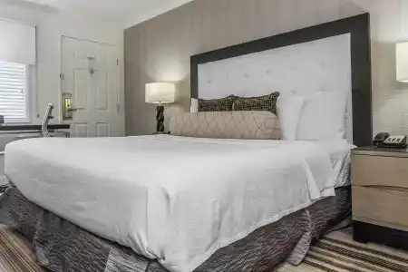 Inn Off Capitol Park, Ascend Collection - 28