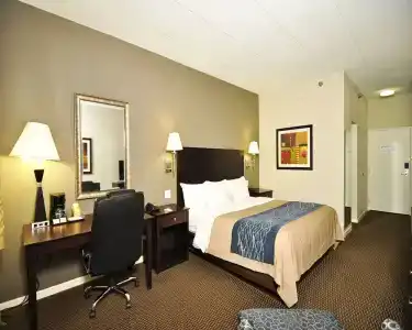 Comfort Inn - 50