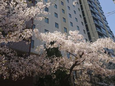 The Royal Park Hiroshima Riverside - 11