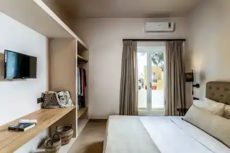 Eucalyptus - 41