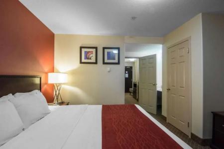 Comfort Inn & Suites Airport South - 37