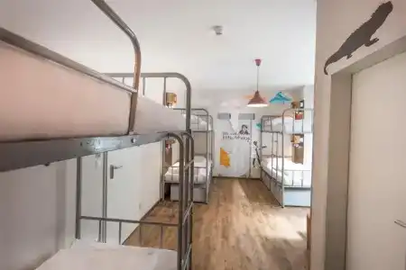 Sunflower Hostel Berlin - 64