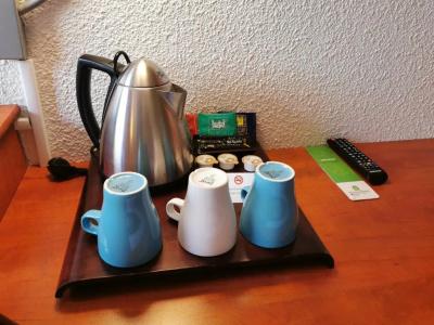 Greenhotels Roissy Parc des Expositions - 69