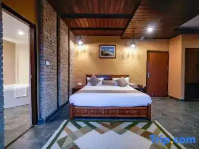 Bar Peepal - 137