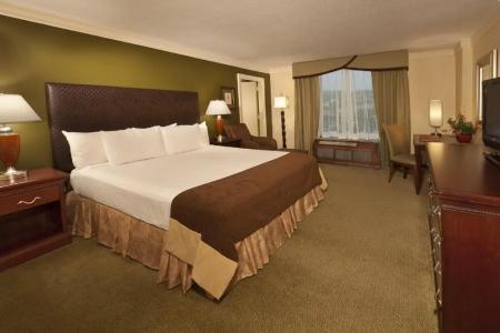 Rosen Centre Orlando Convention Center - 5