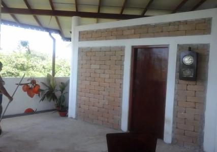 Peacock Wings Guest - 20