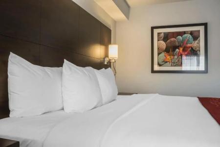 Quality Inn - 46