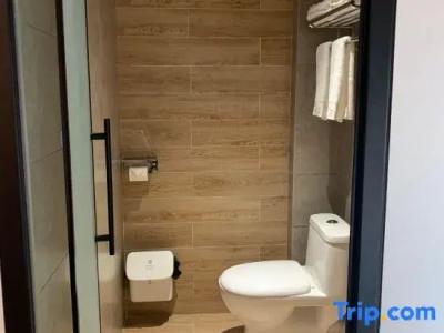 Kyriad Prestige Dijon Centre - 71