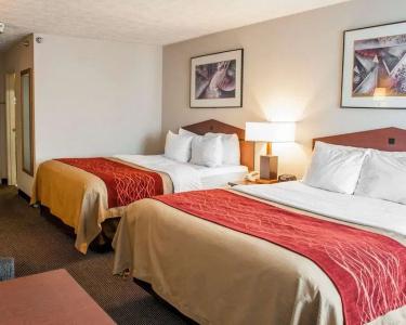Comfort Inn Indianapolis South I-65 - 5