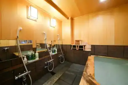 Ryokan Kamogawa Asakusa - 30