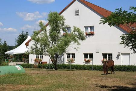 -Pension Am Mühlberg - 31