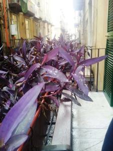 b&b Alloggio Maria - 10