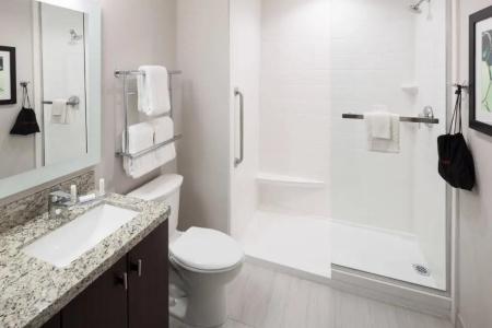 TownePlace Suites by Marriott Orlando at SeaWorld - 84
