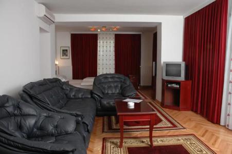 Vila Lux Milikic - 20