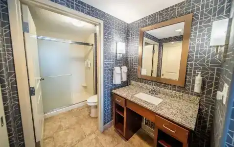 Homewood Suites by Hilton Mayo Clinic-St. Marys Campus - 41