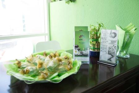 Green Garden - 7