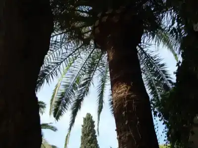 Boutique Las Islas - Adults Only - 17