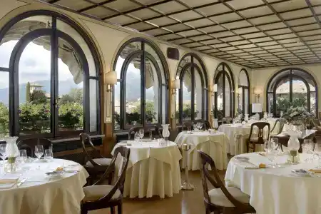 Cipriani - 19
