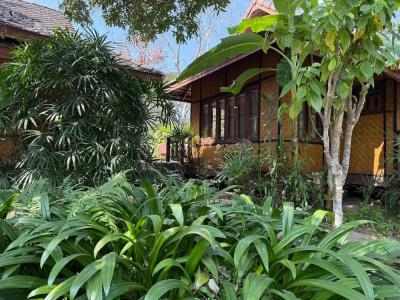 Baan Krating - Sha Plus - 51