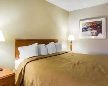 Quality Inn at the Mall - - 31