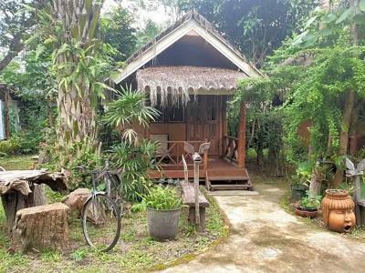 Chiang Dao Hut - 55