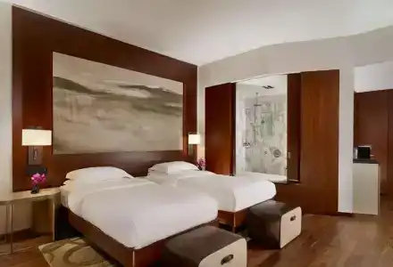 Park Hyatt Zurich – City Center Luxury - 83