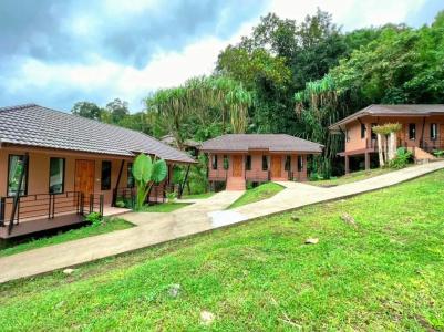 Khaosok Rainforest Resort - 93