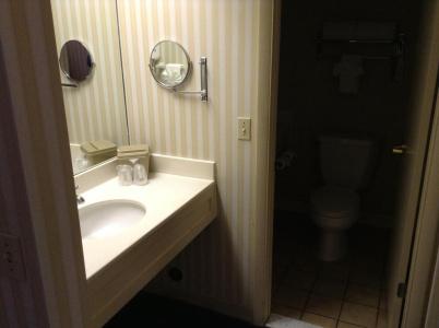 Royal Garden Inn Downtown - 6